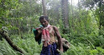 Payeng Molai, Forestman of India 