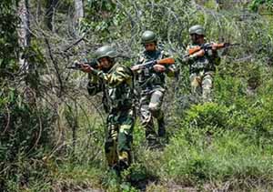 BSF Patrol along the Indo-Bangladesh Border in Tripura 