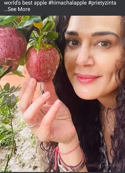 PreityZinta_Bollywood_Apple_IconHimachalbuMail