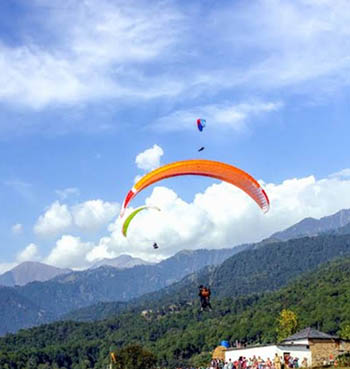 Pilots in the sky in Bir-Billing paragliding in Himachal