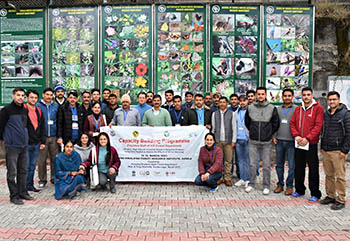 Forest trainees at HFRI training programme at Panthakhati HFRI campus