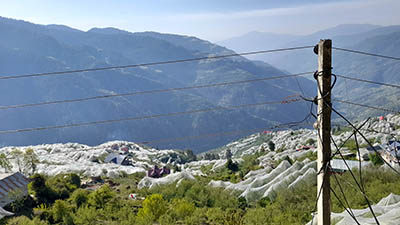 Apple belt of Maroag in Shimla district 