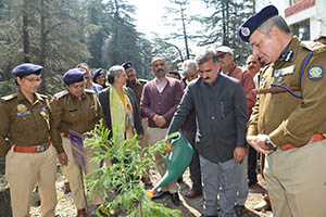 CM Launch plantation drive of HP Police 