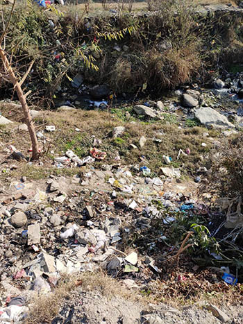 Waste in Kullu trek in HP 