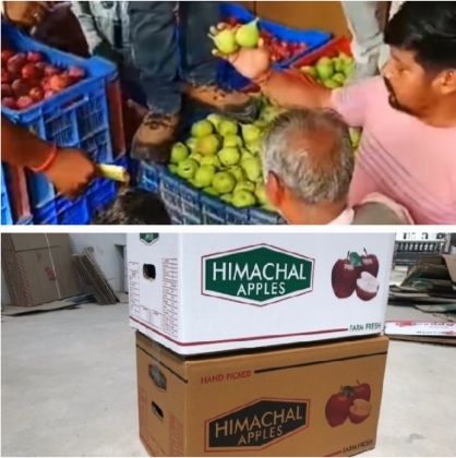 Apple in crates and cartons Shimla_himbumail.com 