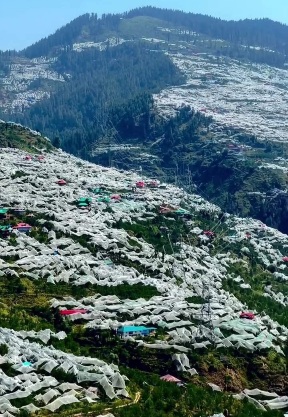 apple belt of Jubbal in Shimla district  