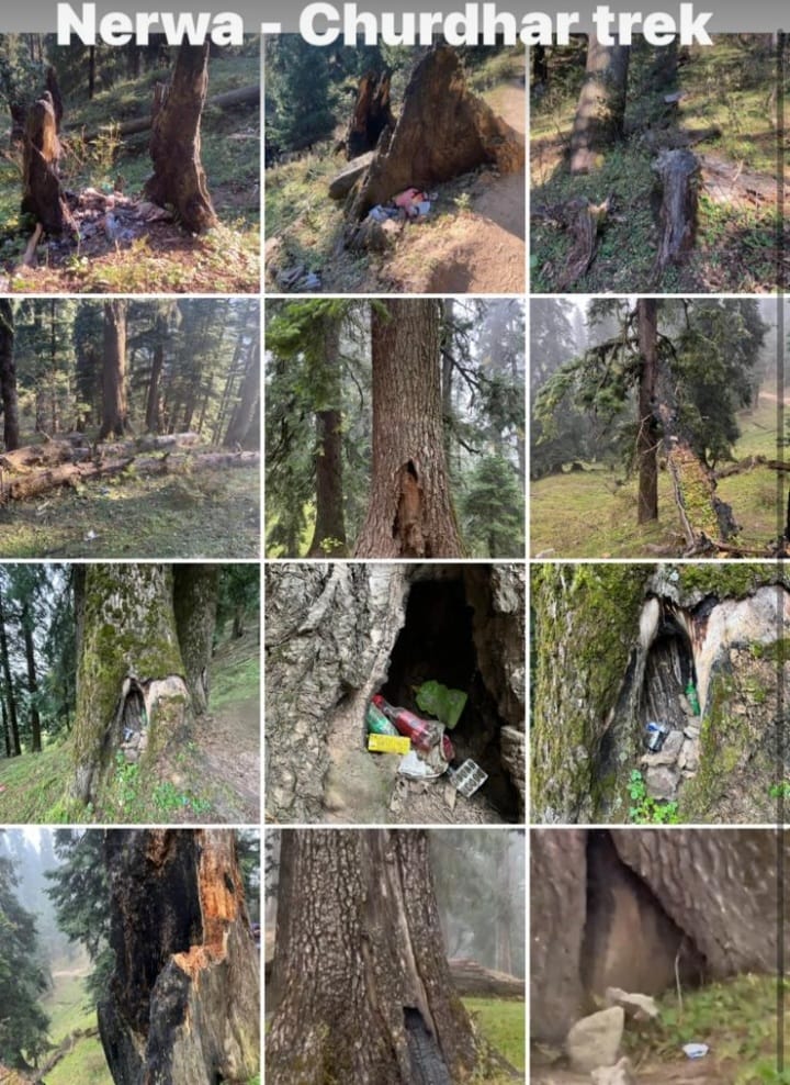 Images of Trees being used as waste cans on the way to Churhdhar 