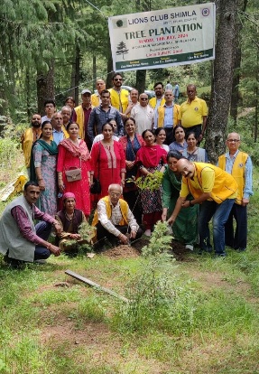 Lions Club Shimla tree plantation drive 