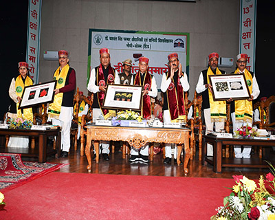 816 Degrees, 12 Gold Medals Conferred at Nauni University's 13th Convocation