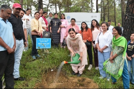 SJVN Plantation drive in shimla 