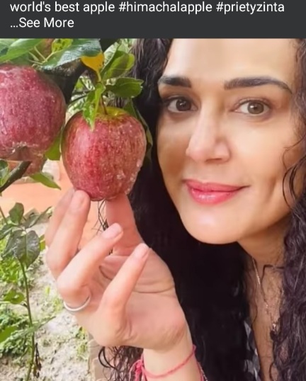 PreityZintaShoingHimachalApple