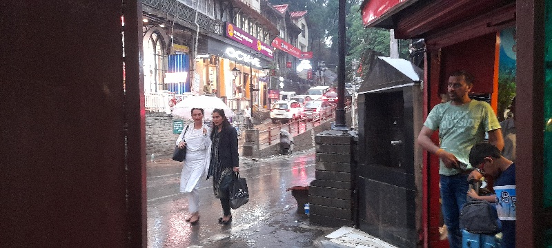 Shimla Showers 