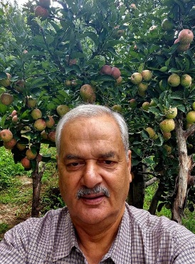 Dr Vijay Singh Thakur at his apple orchards in Jubbal 