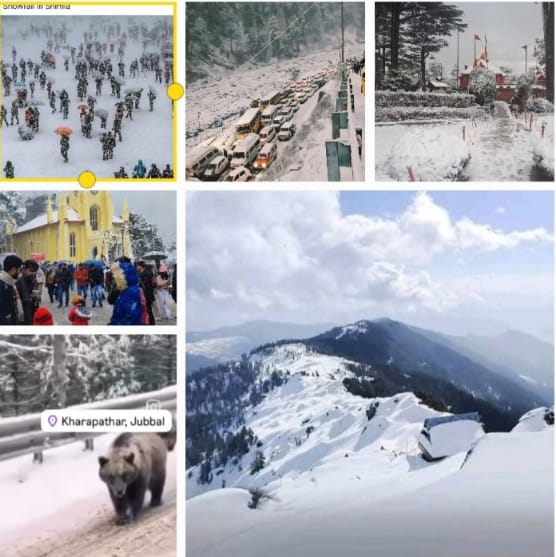 Snow Adds sparkle to Christmas, Promises a Dreamy New Year in Shimla, Manali, Dharamshala and Dalhousie!