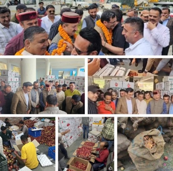 AppleCartonPolitics2025