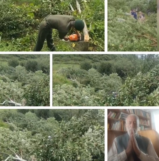 Eviction drive in Chaithla Kotkhai 