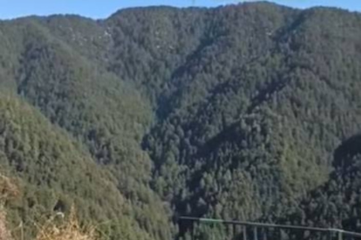 ViewofHassanValleyWildLifeSanctuaryShimla