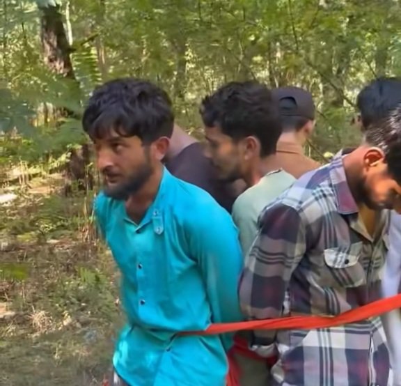 ShamshiChittaCaseKullu