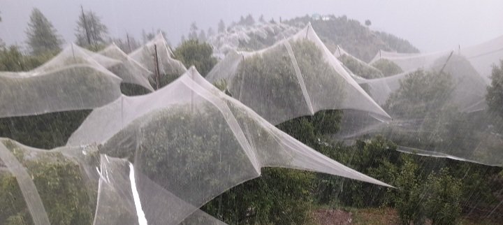 Sleet in Chopal Shimla district on May 24