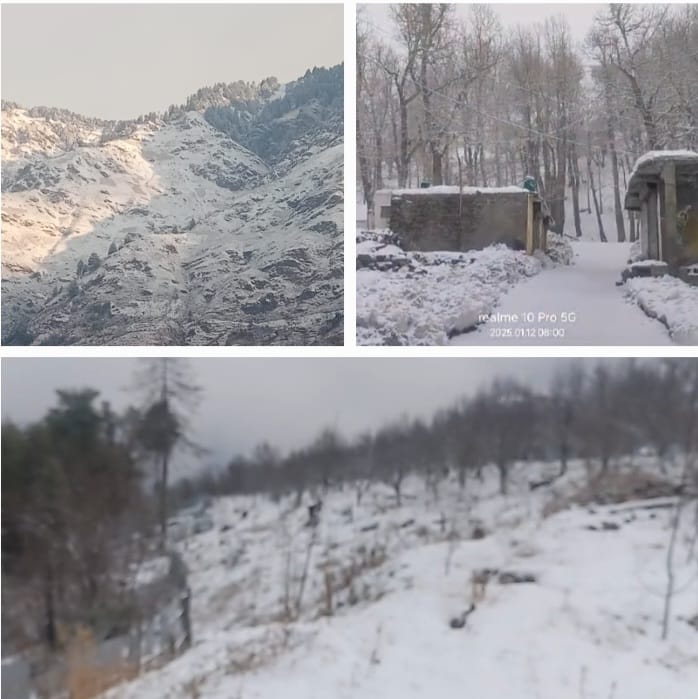 Snowfall Revives Tourism, Brings Hope to Apple Farmers in Himachal Pradesh