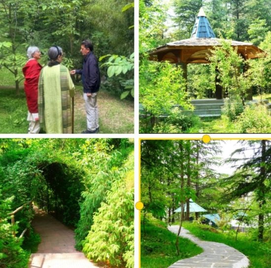 DrJishtuExplainingArboratumToSoniaGandhi,Summerhill inShimla
