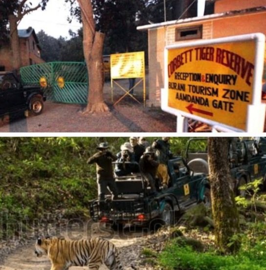 Corbett Tiger Reserve Uttarakhand 