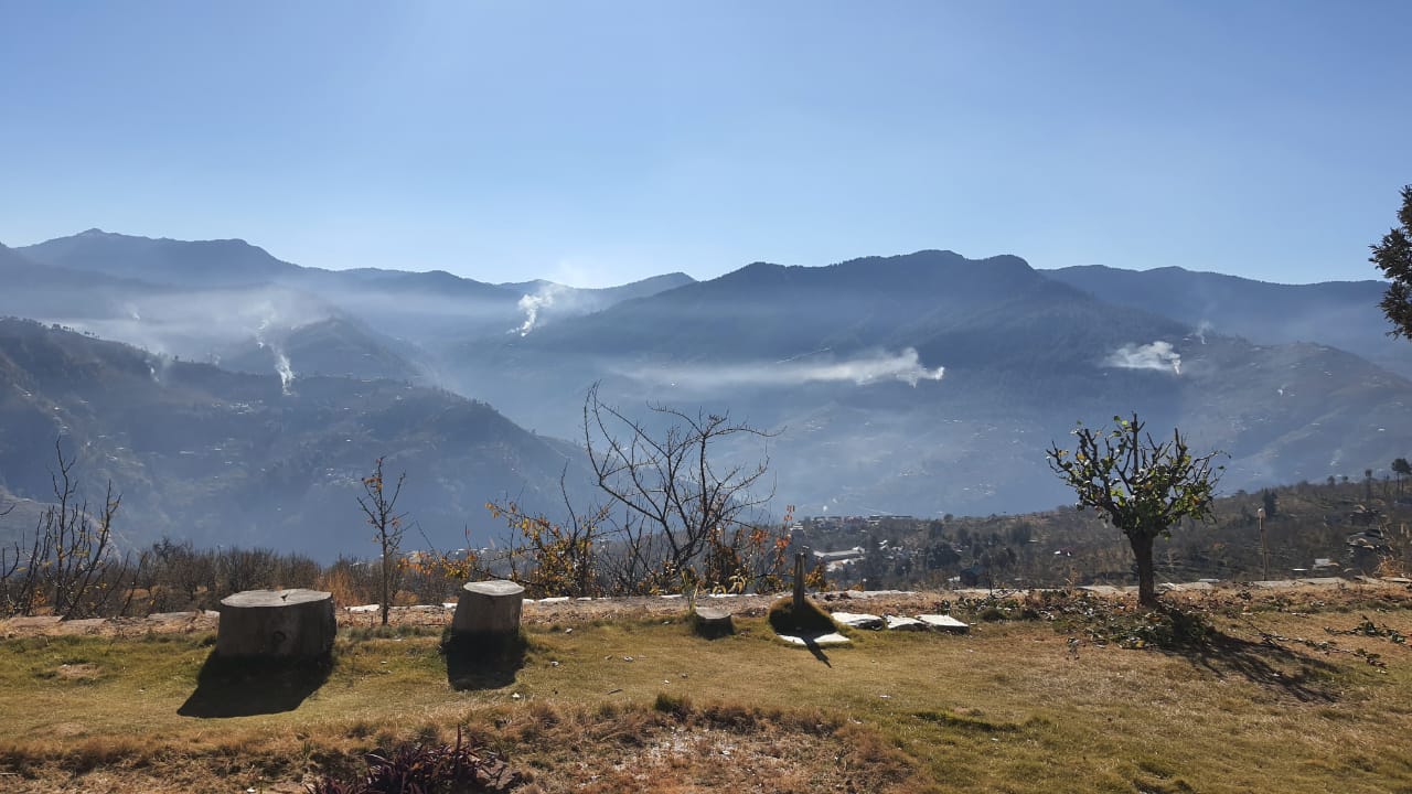 Shimla’s Apple Belt Chokes Under Blanket of Smoke from Apple Plant Twig Burning 