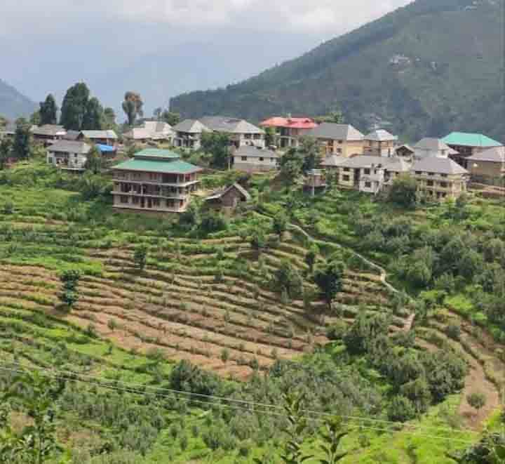 Tin-roofed hoses and slat-roofed houses in Mandi village HP 