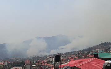 Himalayan Forests Burn, Inmates of Bal Ashram and Tutti Kandi Zoo Face  Terrible Time in Shimla - HimbuMail