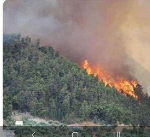 View pf Forest Fire in Hills of Uttarakhand