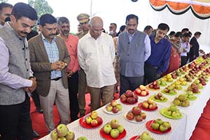 HP Guv at Apple exhibition at Apple Fair in Mashobra, near Shimla  