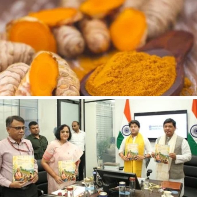 MissionHaldiIndia