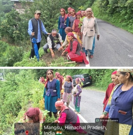 TreePlantationKotgarh