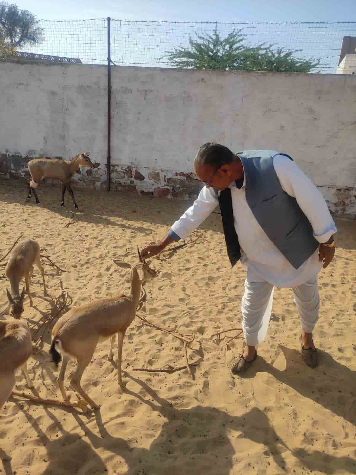 Wildlife lover  with deer 