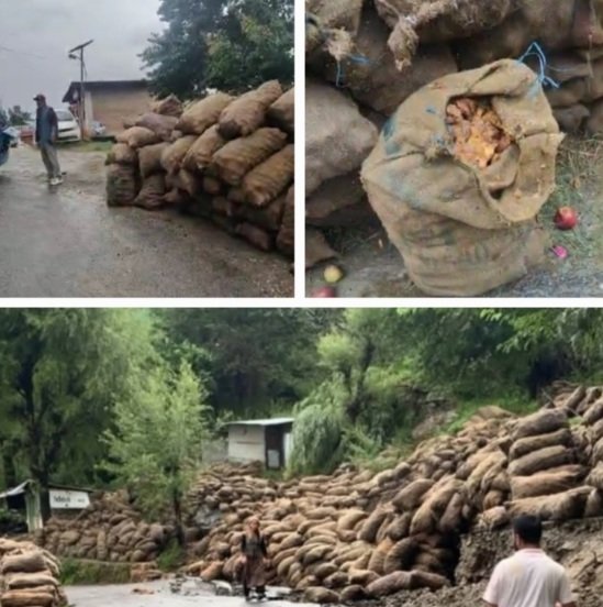 HPMCappleRotonRoadsides