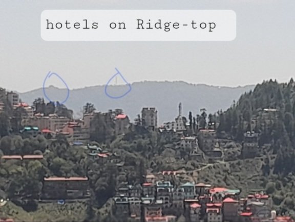 ChailKotiKufriRidgeShimlaHimbuMail