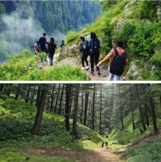 KasauliChailTrailHimbuMail