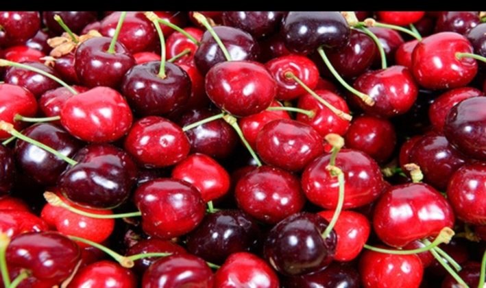 CherryAdaniFruit