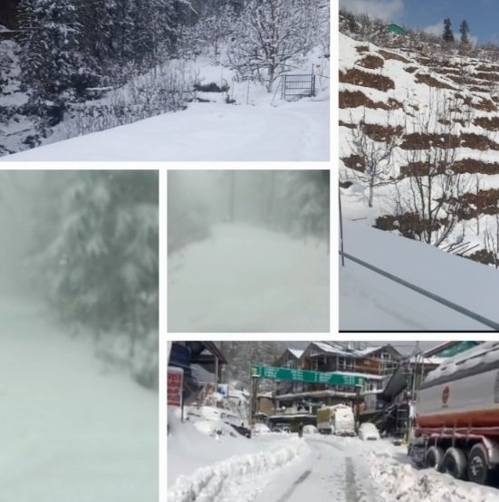 ImagesOfFreshSnowShimlaAppleBeltManaliHimbumail