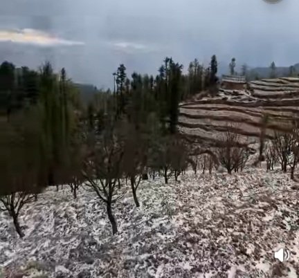 HaikstromSceneShimlaChopal