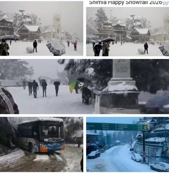 SnowfallInShimlaHimachalJan232026